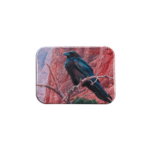 "Canyon Raven" - 2.5" X 3.5" Rectangle Fridge Magnets