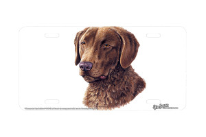 "Chesapeake Bay Retriever" - Decorative License Plate