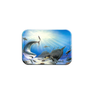 Sunken Treasures – 2.5" x 3.5" Rectangle Fridge Magnet