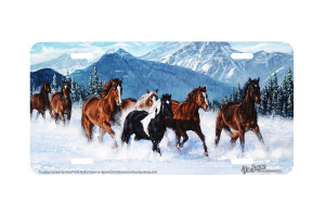 "Dashing Through the Snow" - Decorative License Plate