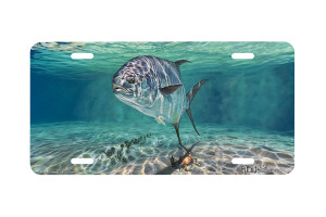 "Passing Glance" - Decorative License Plate