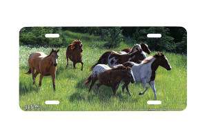 "Freedom Run" - Decorative License Plate