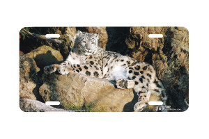 "Ghost Cat" - Decorative License Plate