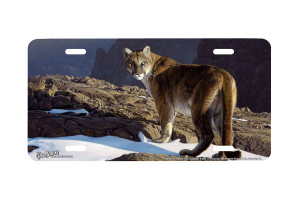 "Skirting the Rim" - Decorative License Plate