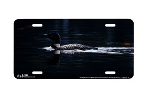 "Parting Reflections" - Decorative License Plate