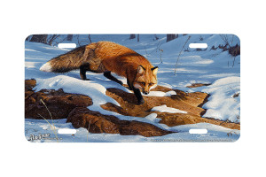 "On the Sly" - Decorative License Plate