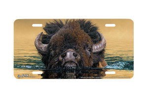 "Stillwater Crossing" - Decorative License Plate