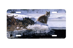 "Bobcat on Icy Bank" - Decorative License Plate