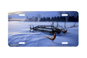 "Windswept" - Decorative License Plate