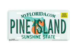 "Florida State Pine Island" - Decorative License Plate