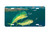 "Dolphins" - Decorative License Plate