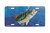 "Bass And Worm" - Decorative License Plate