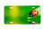 "Ladybug on Leaf" - Decorative License Plate