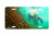 "Mangrove Morning" - Decorative License Plate