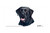"Black Labrador Retriever" - Decorative License Plate