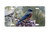 "Springtime Blues" - Decorative License Plate