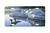 "Two Loons in a pond" - Decorative License Plate