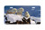 "Arctic Alliance" - Decorative License Plate