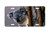 "Young Koala" - Decorative License Plate