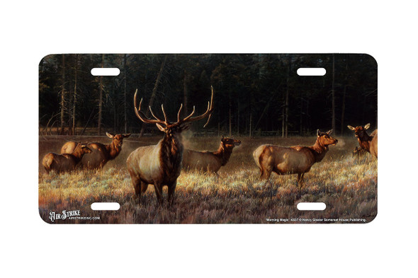 "Morning Magic" - Decorative License Plate