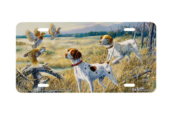 "Uncoveyed" - Decorative License Plate