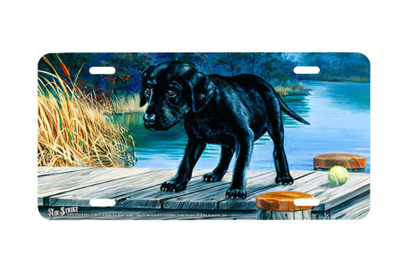 "Forget The Ball" - Decorative License Plate