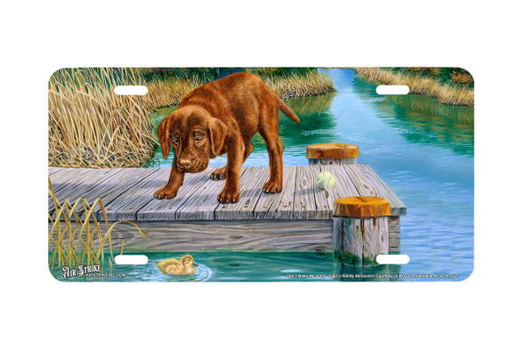 "Dont Make Me Jump" - Decorative License Plate