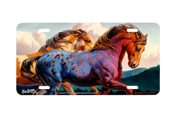 "Carousel II" - Decorative License Plate