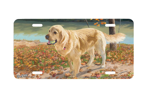 "Fun In The Sun" - Decorative License Plate