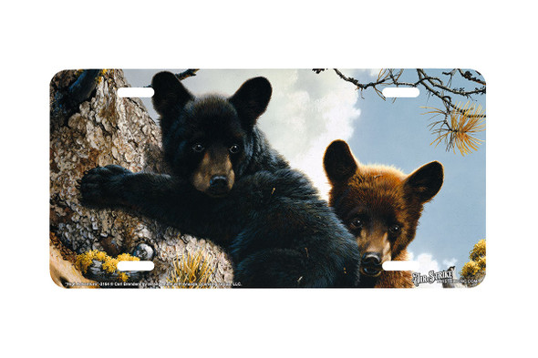 "High Adventure" - Decorative License Plate