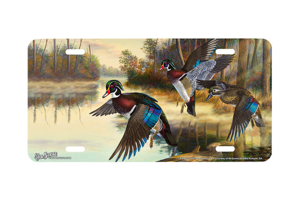 "Flyby" - Decorative License Plate