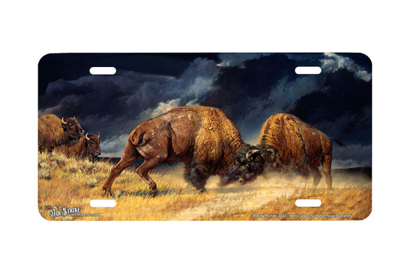 "Rolling Thunder" - Decorative License Plate