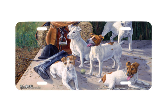 "Make Our Day" - Decorative License Plate