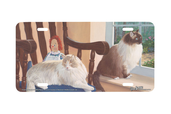 "Dreams N Schemes" - Decorative License Plate