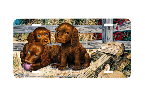 "Cornered" - Decorative License Plate