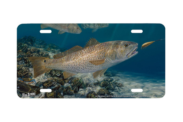 "All That Glitters" - Decorative License Plate