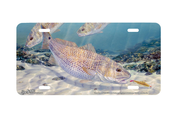 "Gold Diggers" - Decorative License Plate