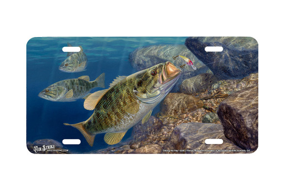 "Taking The Rap" - Decorative License Plate