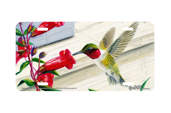 "Window Treasures" - Decorative License Plate