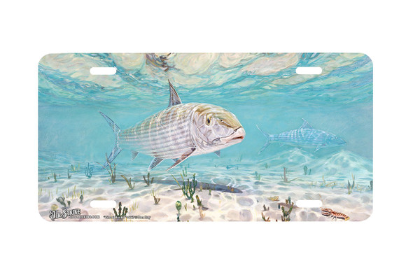 "Ghost Hunter" - Decorative License Plate