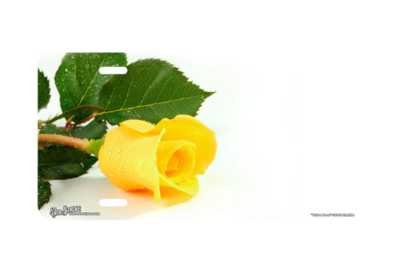 "Yellow Rose" - Decorative License Plate