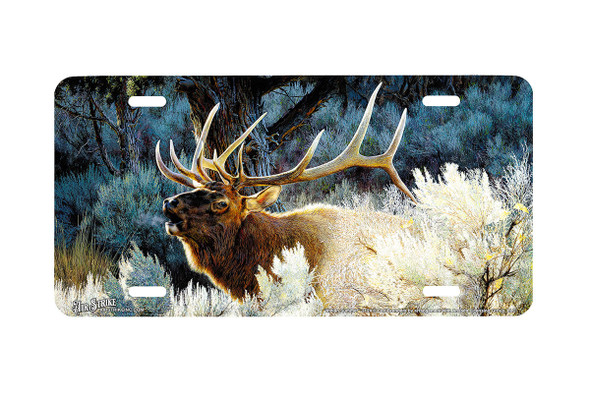 "Indian Summer" - Decorative License Plate