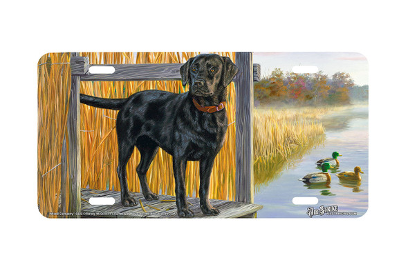 "Mixed Company II" - Decorative License Plate