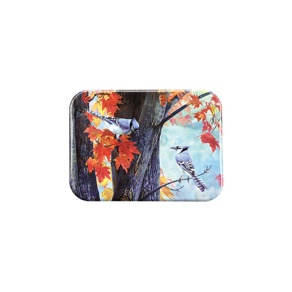 "Fall Colors" - 2.5" X 3.5" Rectangle Fridge Magnets