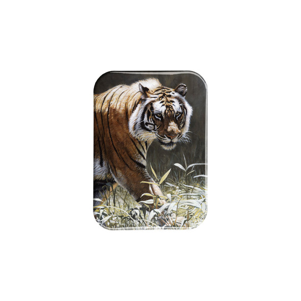 "Catwalk" - 2.5" X 3.5" Rectangle Fridge Magnets