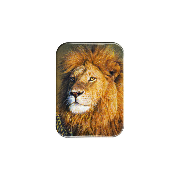 "The Sublime" - 2.5" X 3.5" Rectangle Fridge Magnets