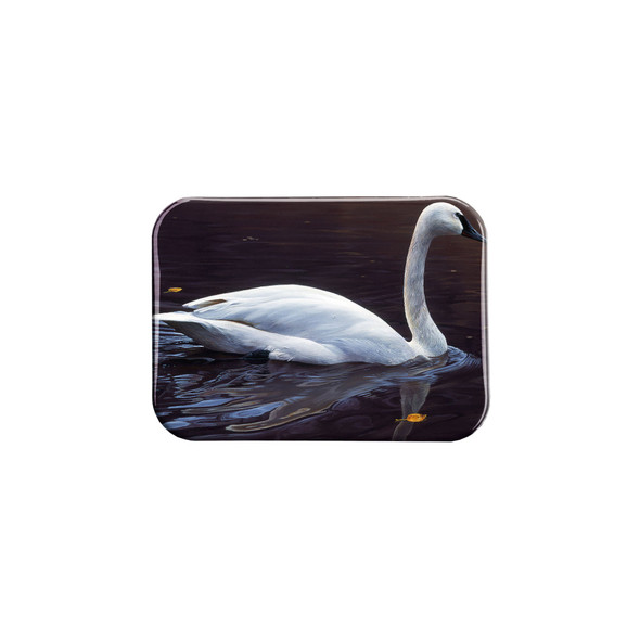 "Reflection of Light" - 2.5" X 3.5" Rectangle Fridge Magnets