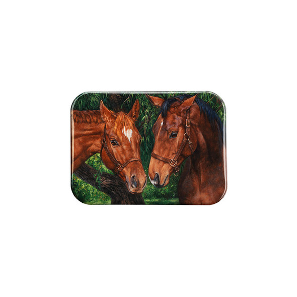 "Sharing Secrets" - 2.5" X 3.5" Rectangle Fridge Magnets