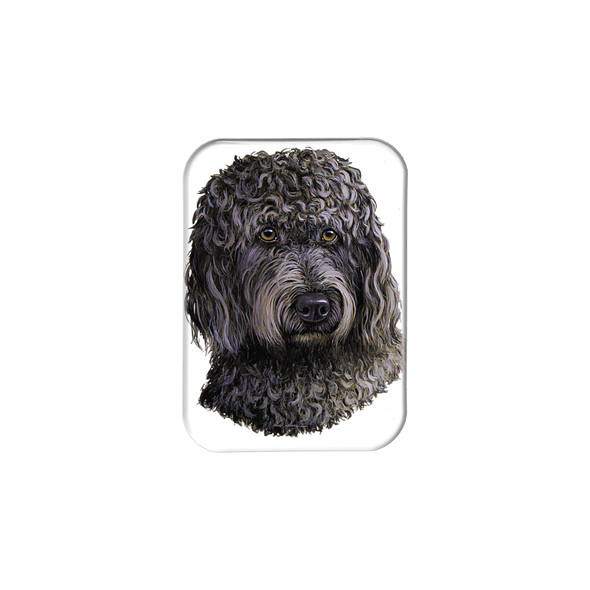 "Labradoodle" - 2.5" X 3.5" Rectangle Fridge Magnets
