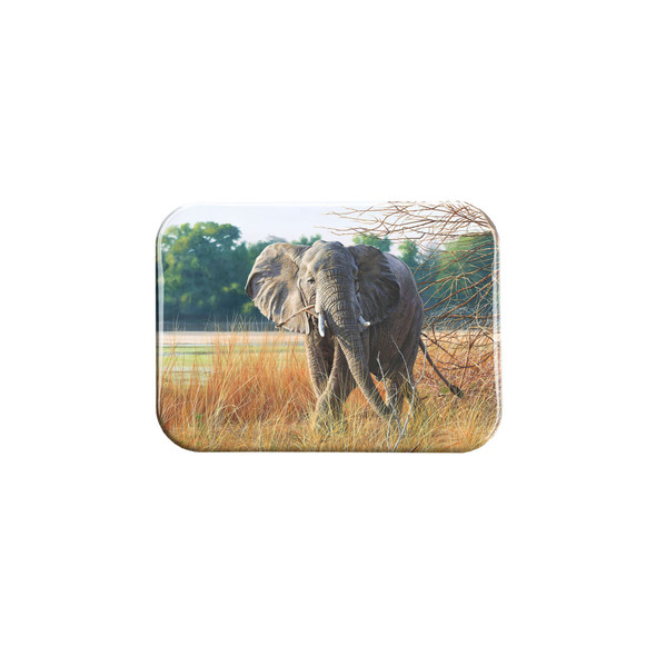 "Just Browsing" - 2.5" X 3.5" Rectangle Fridge Magnets